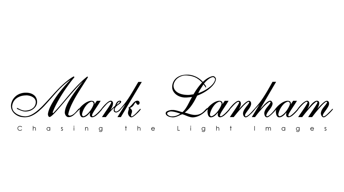 ChasingTheLight logo